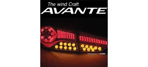 exled hyundai avante md full led taillamp modules